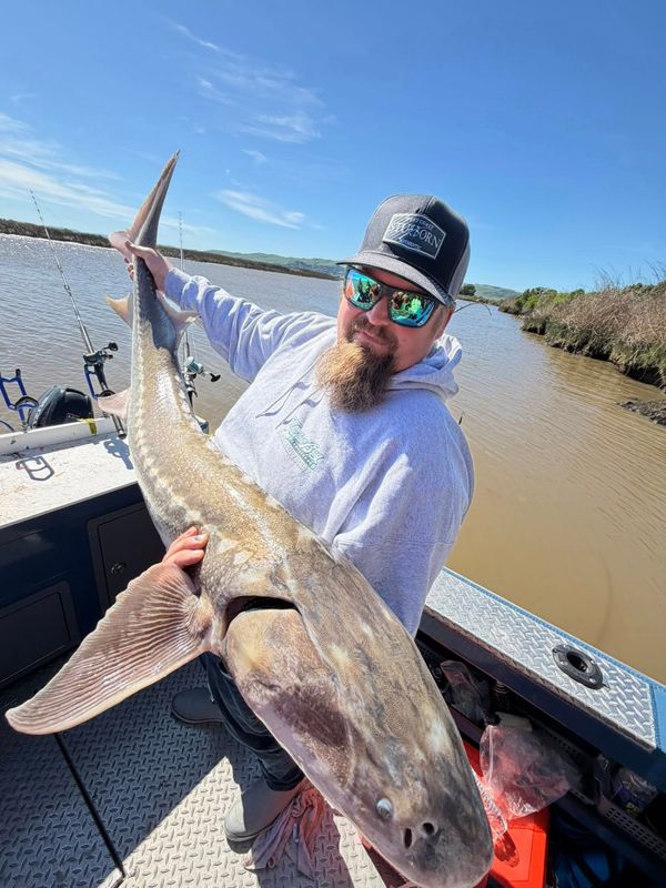 Norcal Traditions Sportfishing