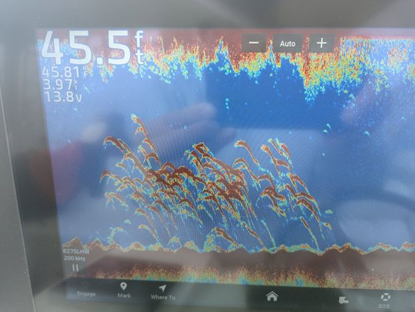 Miss Liane Sportfishing Charters
