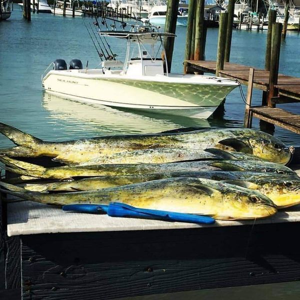 Reel Sporty Charters