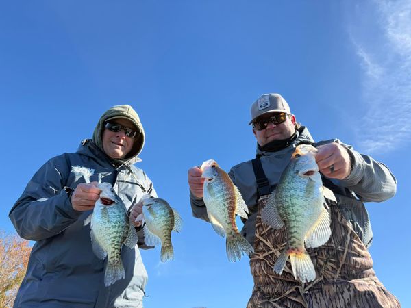 Freedom Fishing Guide Service