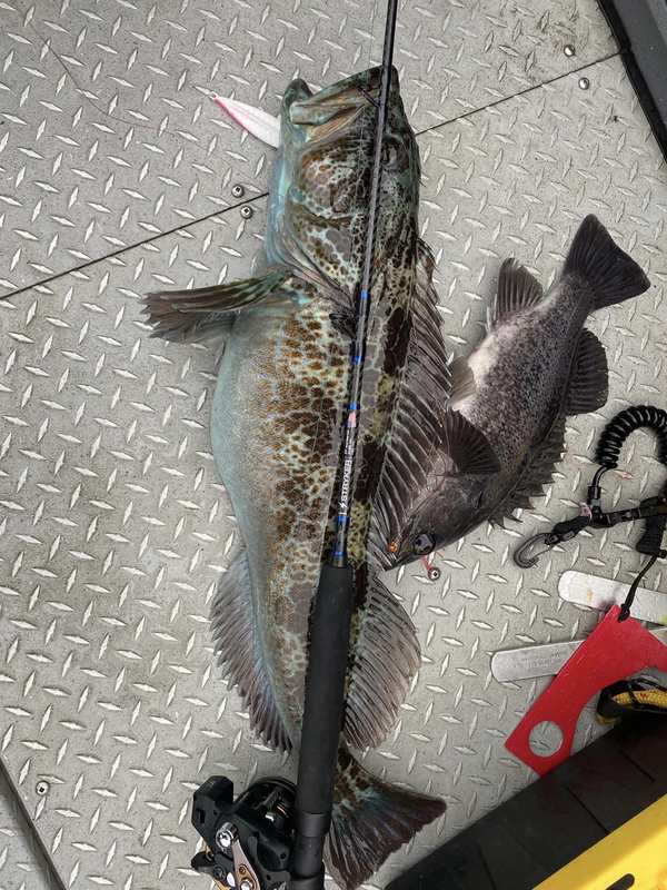 Reel Oregon Adventures