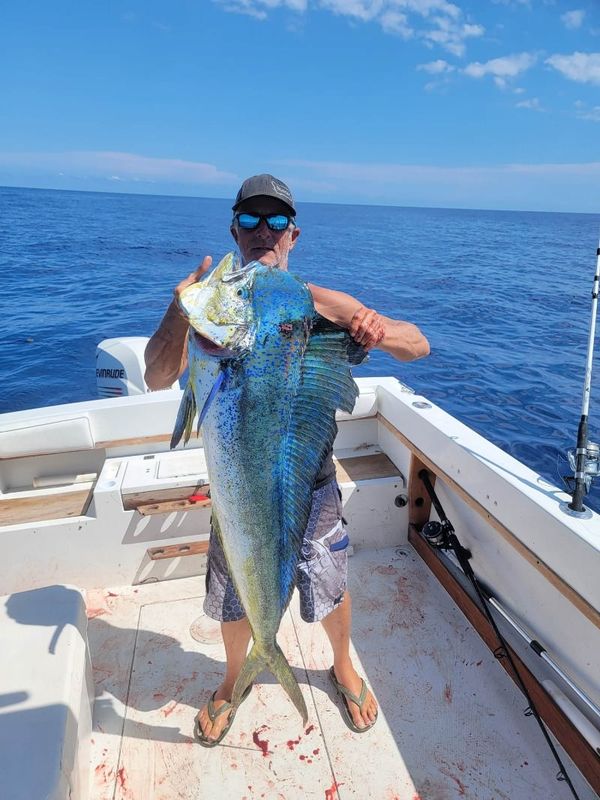 Wet Tails Charters