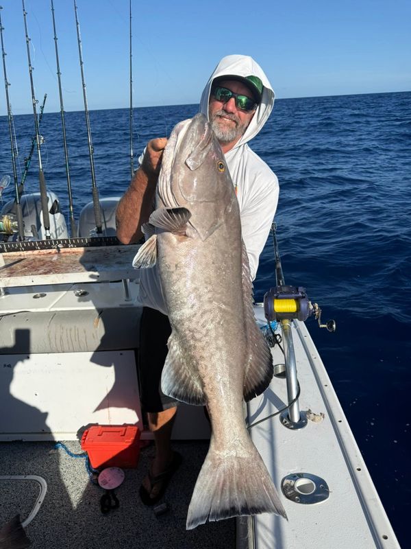 Chase The Blue Charters