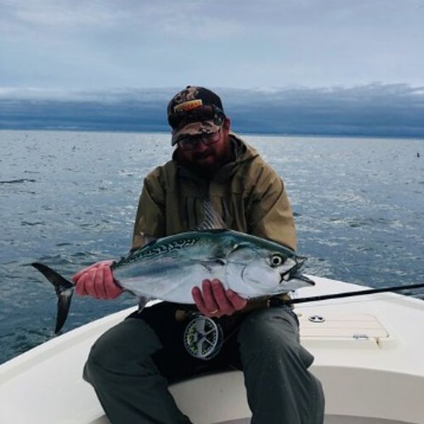 Ipswich Bay Angling