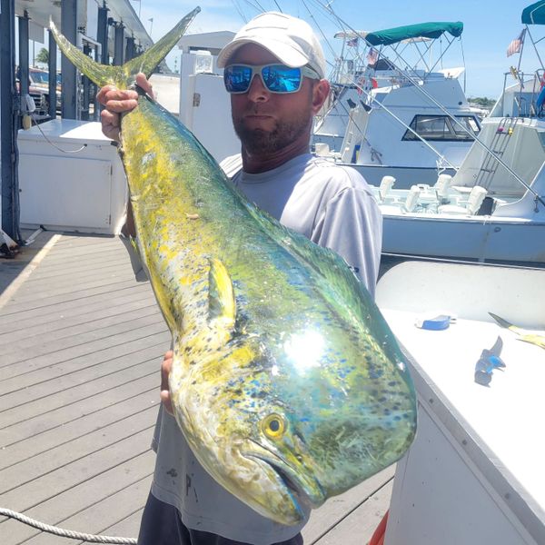 Kilo Whiskey Charters