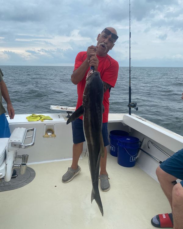 Get Hooked Charters