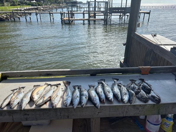 Local Boy Charters