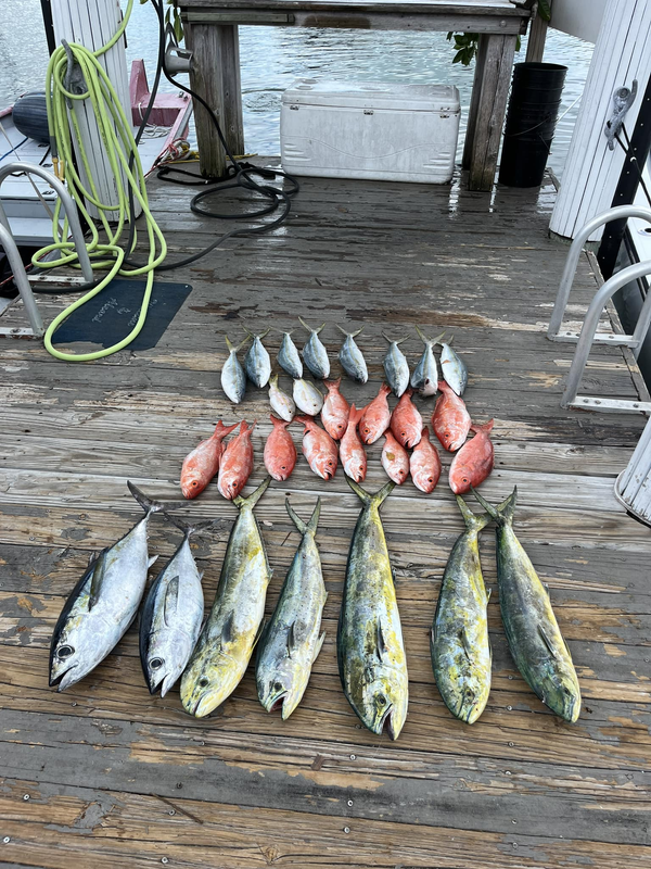 Snap Em Up Fishing