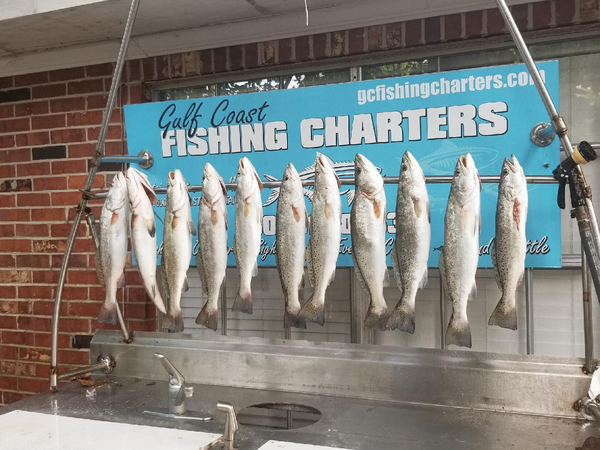 Gulf Coast Fishing Charters