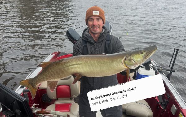 Sconnie Guy Adventures