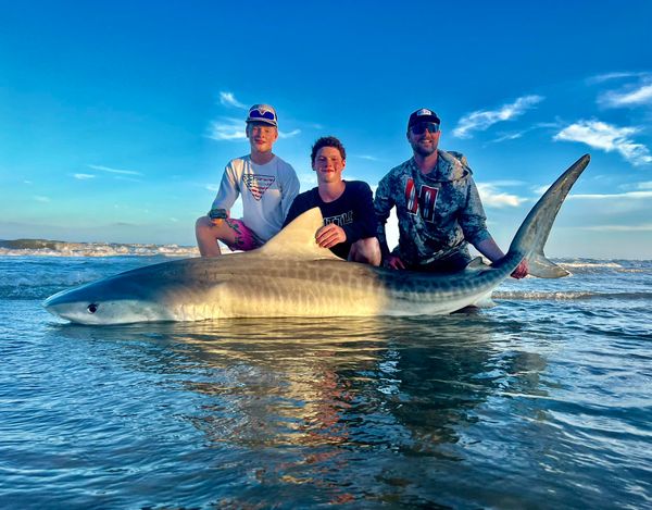 Just Doin It Shark Fishing Charter