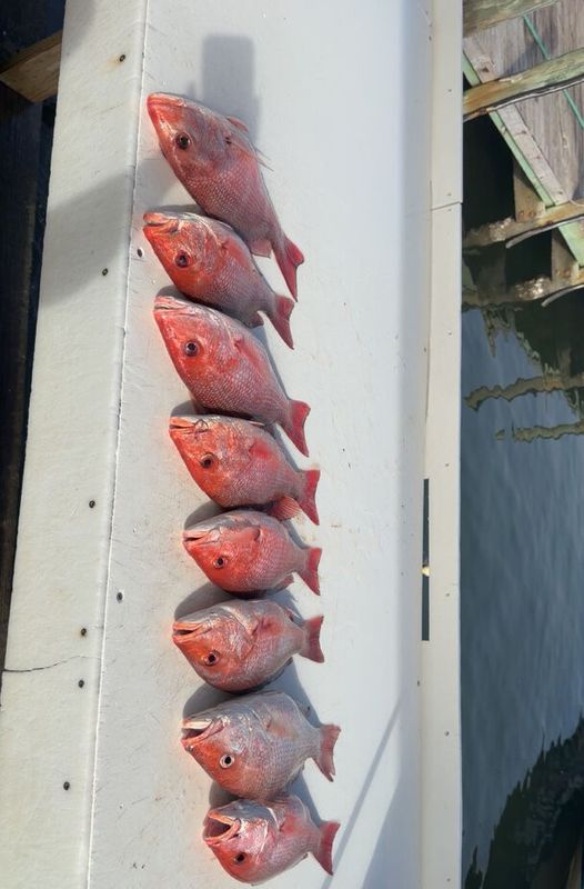 Southern Charters