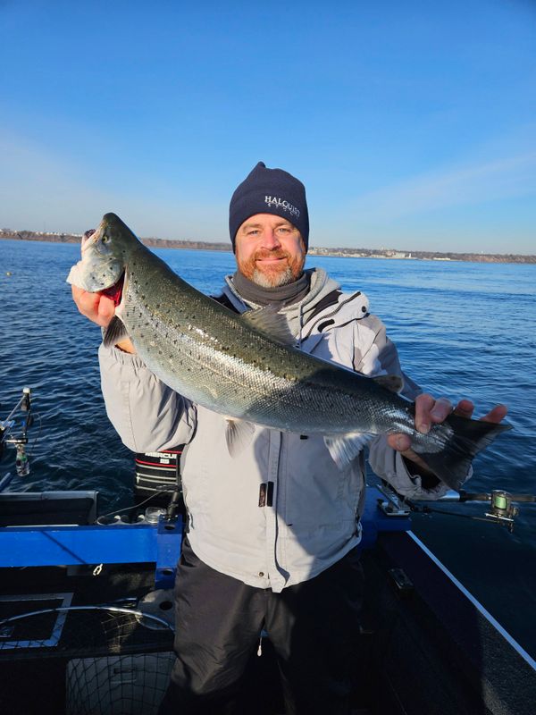 Fishin Da Net Charter Fishing