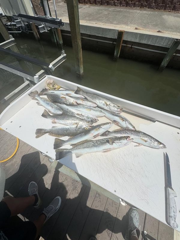 Ramsey's Fishing Charters