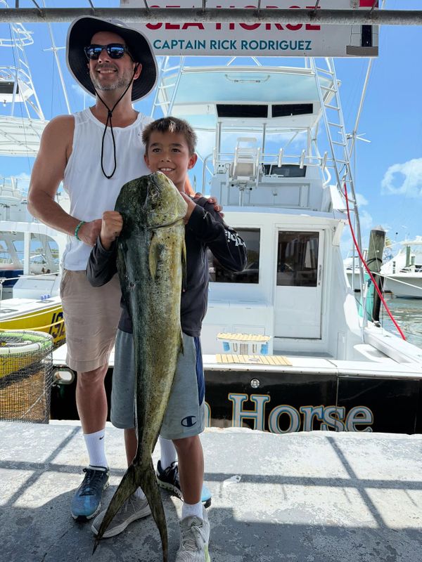 Sea Horse Deep Sea Fishing