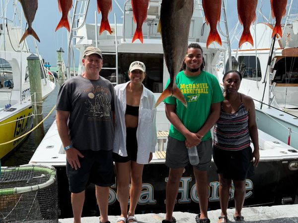 Sea Horse Deep Sea Fishing
