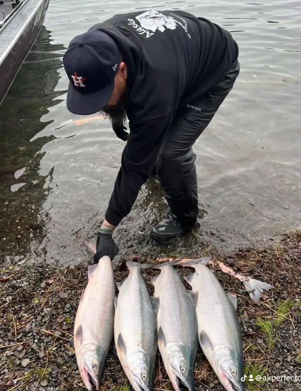 Alaska Perfect Drift Fishing