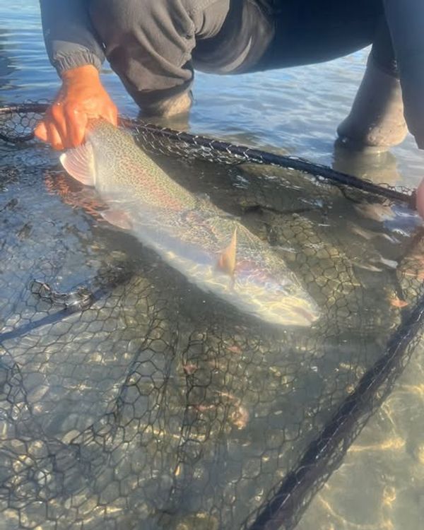Alaska Perfect Drift Fishing
