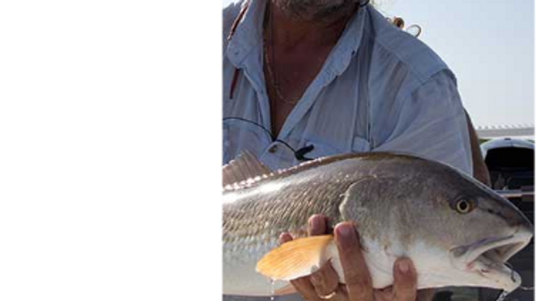 Capt. Karty's Gone Fishing Guide Service