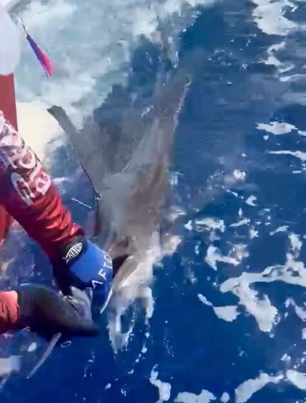 Father and Sons Fishing Charters