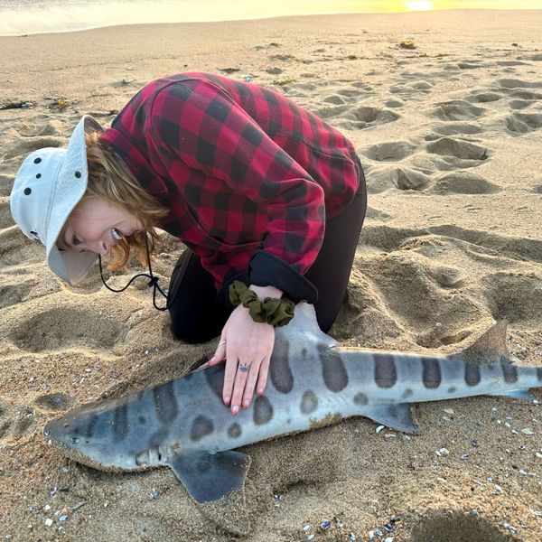 American Sea Fishing