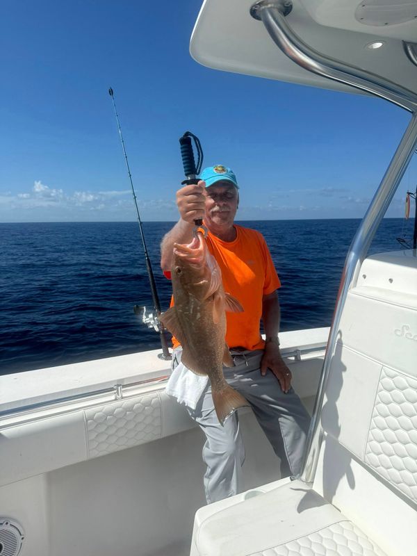 Reel Family Charters