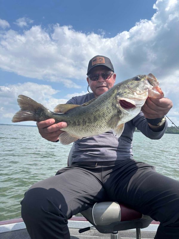 Fish Hard Guide Service