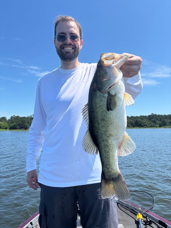 Fish Hard Guide Service