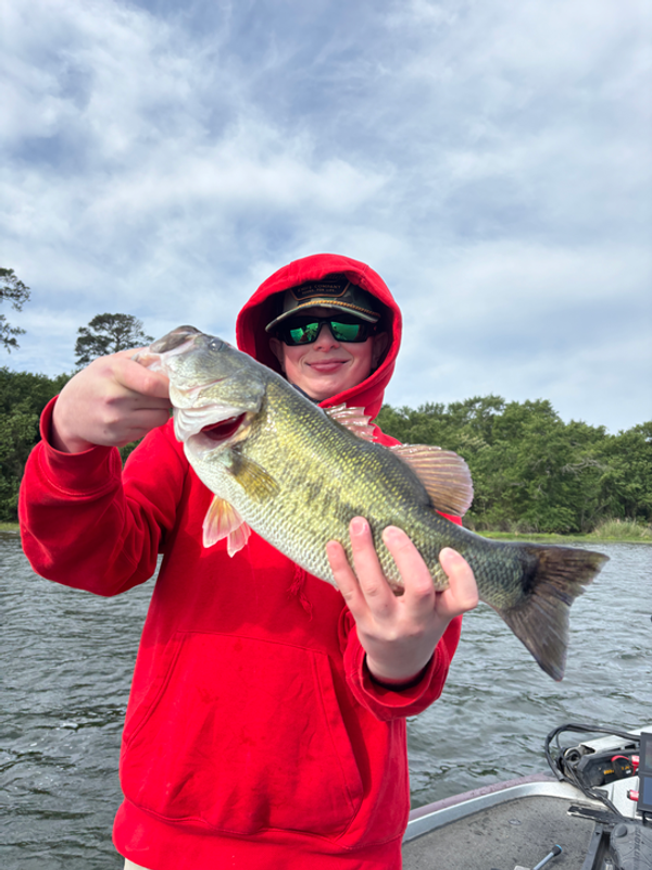 Fish Hard Guide Service