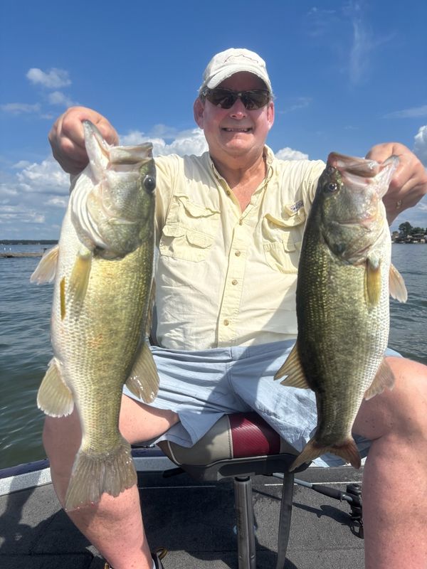 Fish Hard Guide Service
