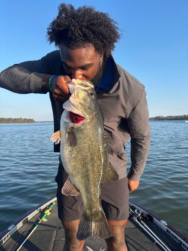 Fish Hard Guide Service