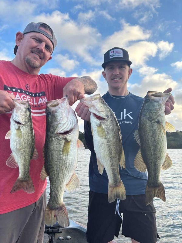 Fish Hard Guide Service