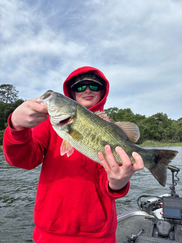 Fish Hard Guide Service