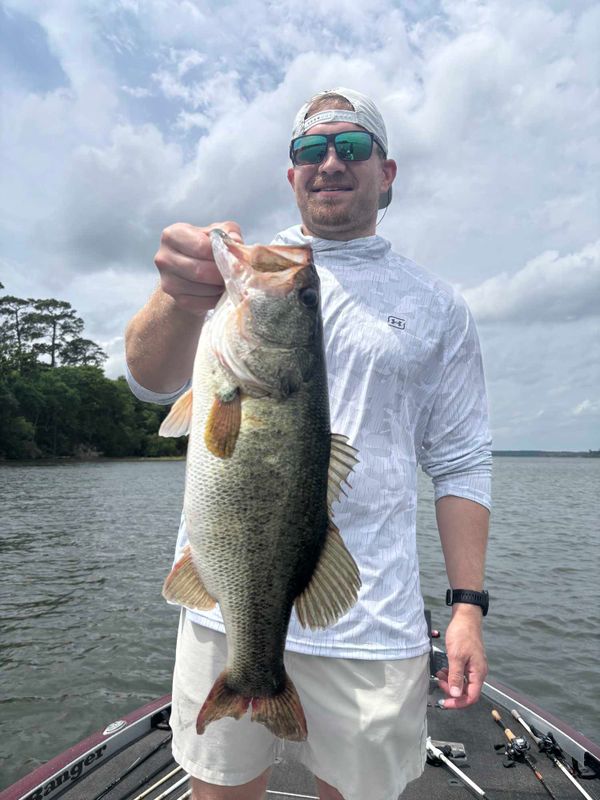 Fish Hard Guide Service