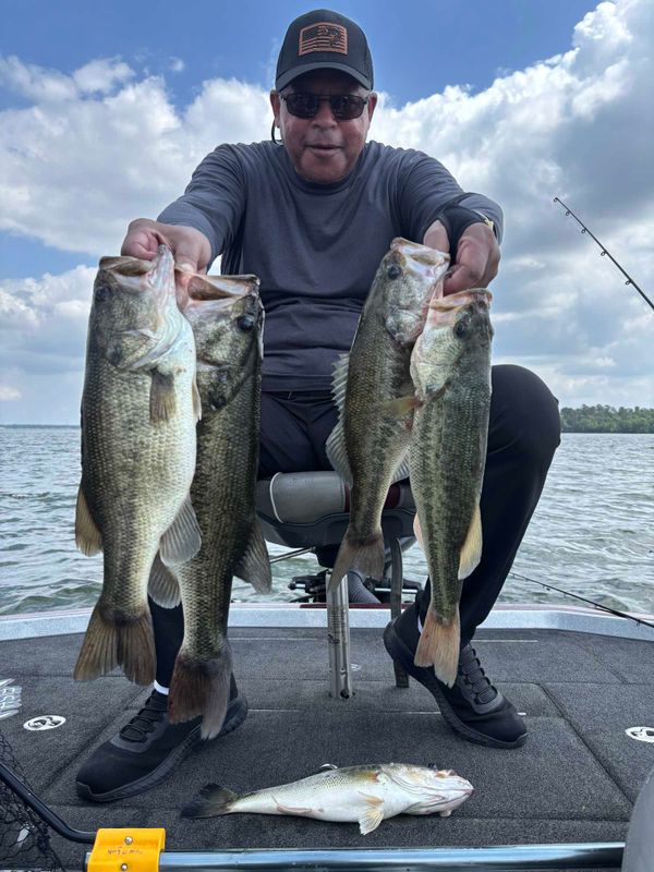Fish Hard Guide Service