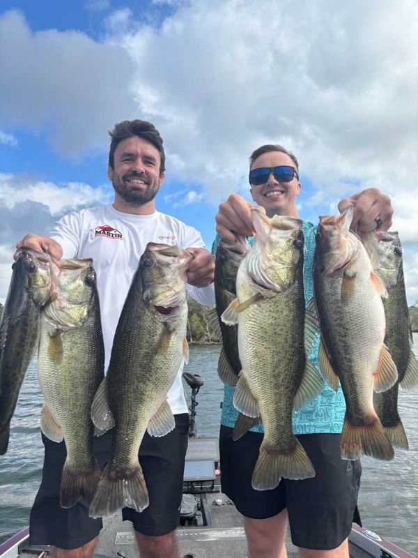 Fish Hard Guide Service