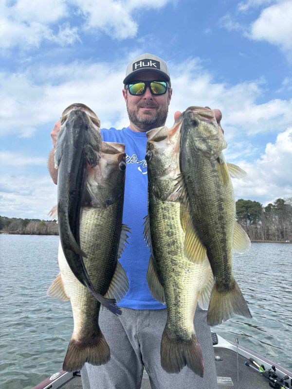 Fish Hard Guide Service