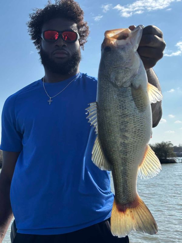 Fish Hard Guide Service