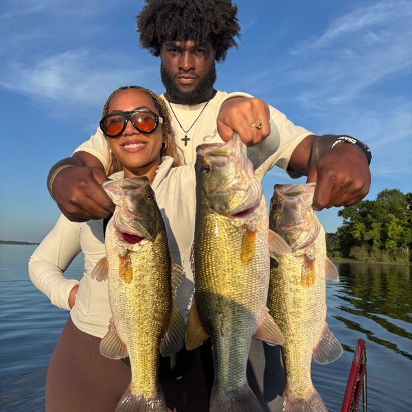 Fish Hard Guide Service