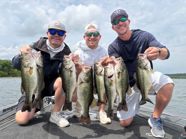 Fish Hard Guide Service