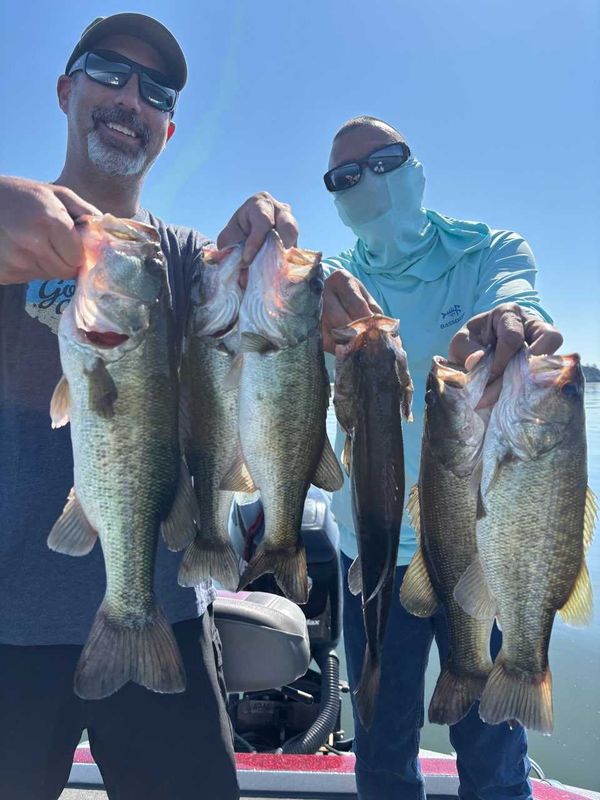 Fish Hard Guide Service