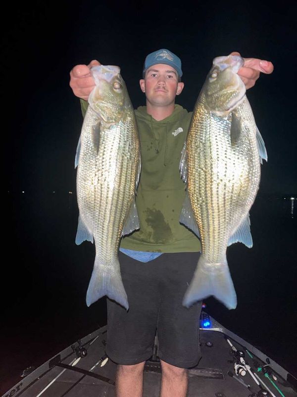Fish Hard Guide Service