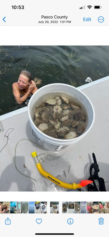 Capt Ben Fishing Charters