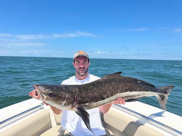 Nauti Dog Sportfishing