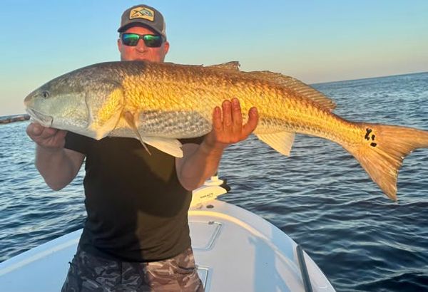 Legit Fish Sportfishing
