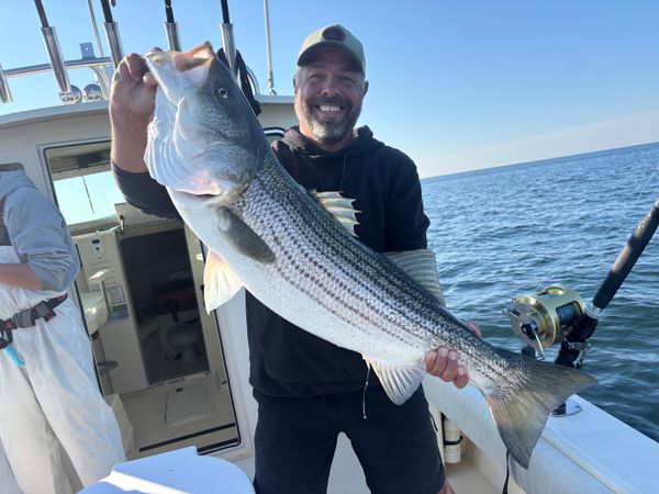 Legit Fish Sportfishing