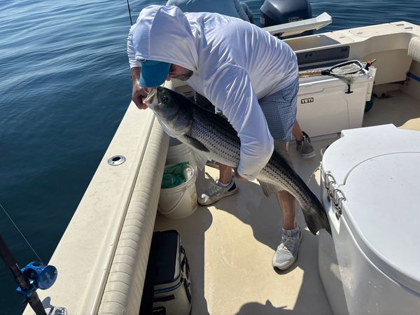Legit Fish Sportfishing
