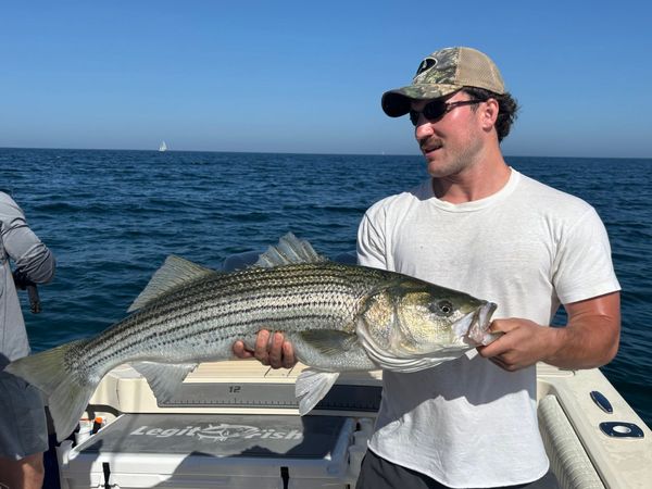 Legit Fish Sportfishing