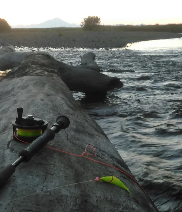Homer Charter Fishing
