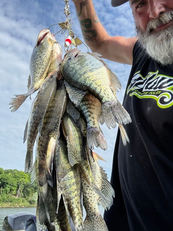 Eric Massey Fish Co
